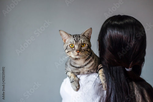 Foto American shorthair cat looking over woman shoulder with copy space