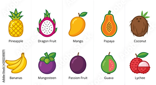 Tropical fruit vector icon set isolated on white background