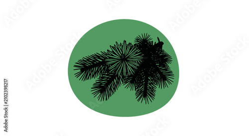 Foto Evergreen pine branch silhouette in green circle