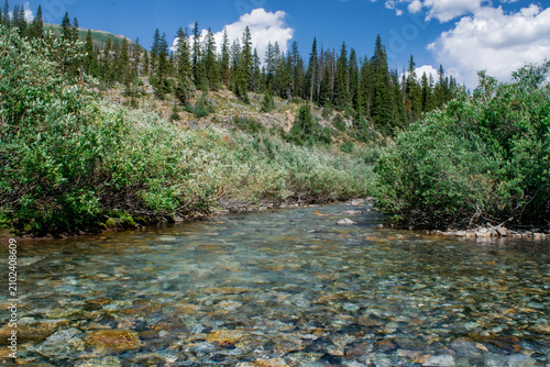 Crystal Clear South Fork River in Colorado