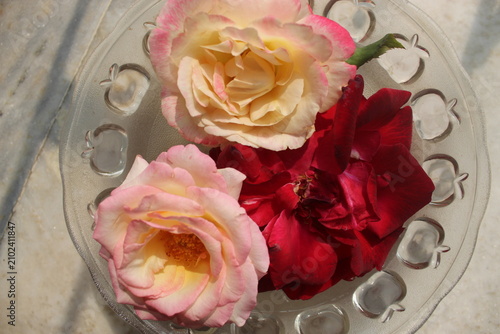 Abstract Floral rose background closeup. Roses petals blurred wallpaper.