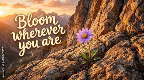 Inspirational purple flower blooming on rocky mountain slope at sunset, with text 'Bloom Wherever You Are'
