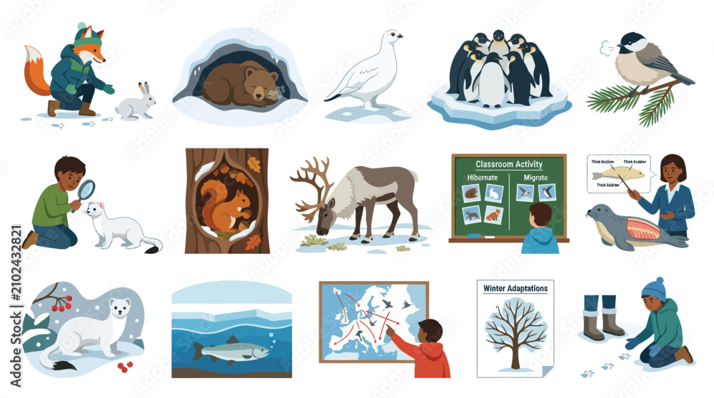 Fototapeta premium Winter Animals and Nature Adaptations Flat Vector Illustration Set for Kids Education