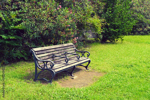 Photography 公園のベンチ