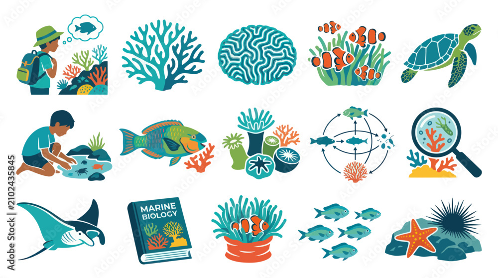 Fototapeta premium Marine Biology Flat Vector Illustration Set: Ocean Life, Coral Reef Animals Ecosystem Icons