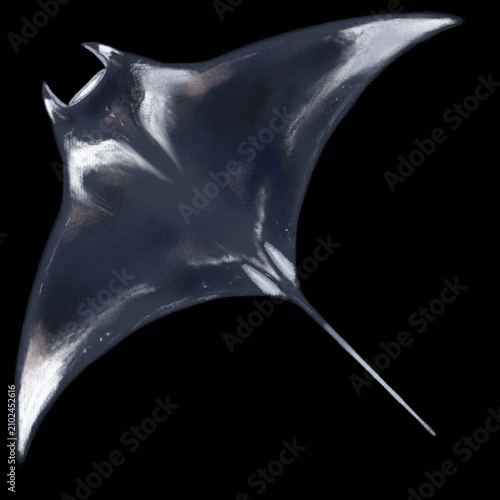 Foto Manta ray, chalk pastel technique digital art, PNG, JPG