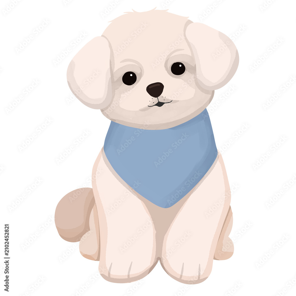 Fototapeta premium Cute fluffy maltese puppy in light blue neck scarf. Suitable for pet blogs, greeting cards, advertisements, and social media posts.