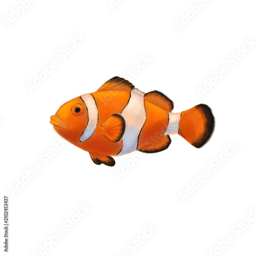 Konstfotografi Clownfish anemonefish Chalk Style Digital Art Isolated
