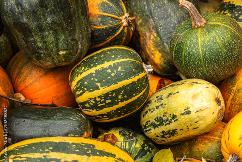 Different types of squash are displayed on a table at a local farmers market in autumn