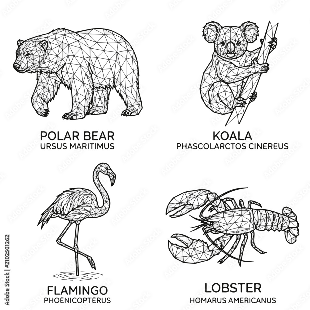 Fototapeta premium Geometric Animal Illustrations Set Featuring Polar Bear Koala Flamingo and Lobster for Modern Design
