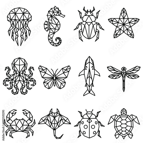 Photography Geometric Animals and Sea Creatures Line Art Set for Design Projects