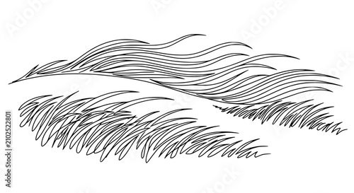 Obraz na płótnie Abstract Line Art of Wavy Grass and Windblown Strands