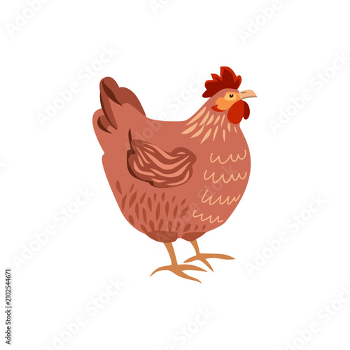 Cute brown hen, isolated farm chicken character for Easter design and rustic decor
