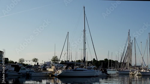 Sailboats moored in peaceful marina