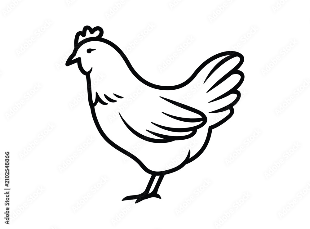 Fototapeta premium Chicken vector illustration line art farm bird