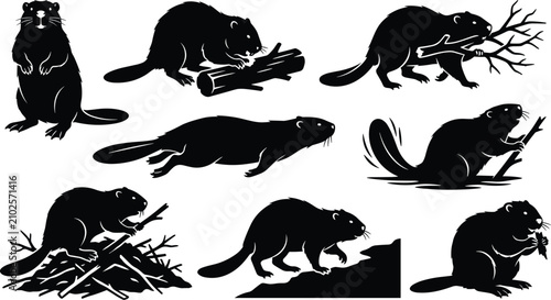Foto Collection of expressive beaver silhouettes in multiple poses including gnawing,