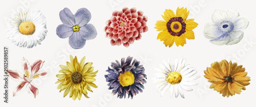 Vector of ten colorful, detailed flower illustrations on a light background.