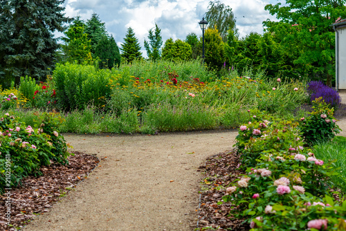 View of a gravel garden path forking within a lush garden, bordered by beds of blooming pink roses and bark mulch, background of tall coniferous and deciduous trees, a lamppost, and a cloudy sky.