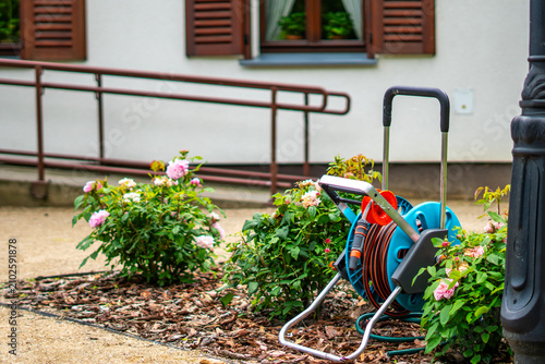 Fotografie Blue hose reel with garden hose standing in a garden next to rose bushes, in the background a white building wall with brown shutters, wheelchair ramp and lamppost, daylight