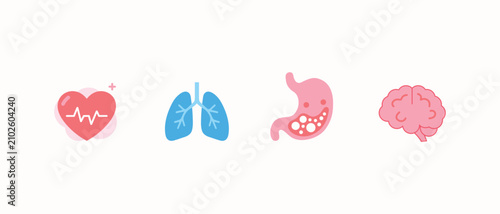 Flat Human Organ symbols illustration heart, lungs, stomach, brain 