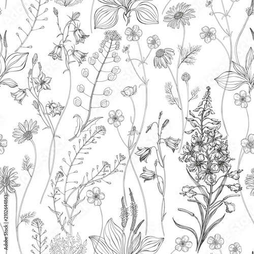 Seamless pattern with wildflowers and herbs. Vector illustration with summer meadow. Black and white. Perfect for design templates, wallpaper, wrapping, fabric, print and textile.