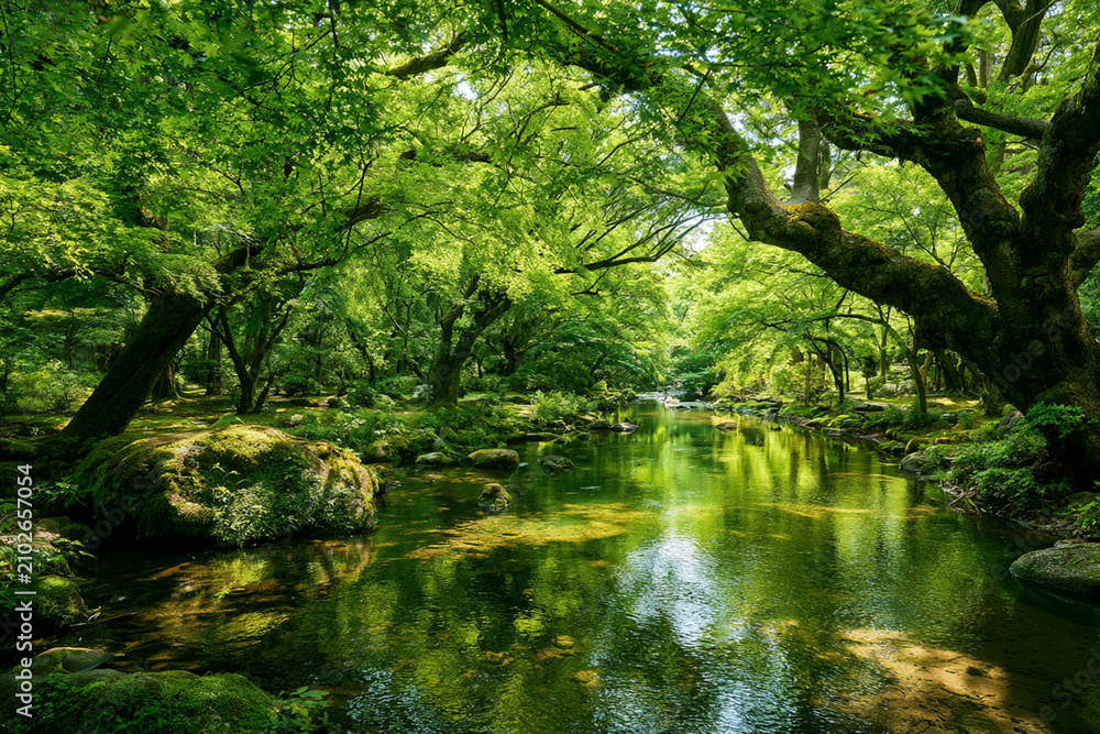 Obraz premium 新緑に包まれた静かな森 Quiet Green Forest|Generative AI