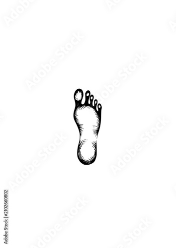Footprint silhouette on a white background