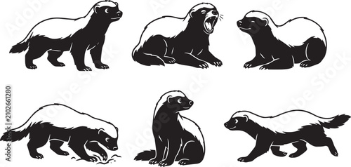 Canvas Print A set of honey badgers. Hand drawn vector illustration