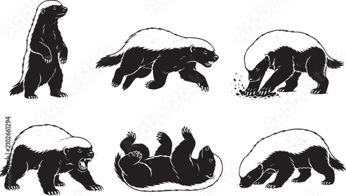 A set of honey badgers. Hand drawn vector illustration