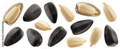 Sunflower Seed, isolated, full depth of field
