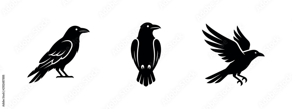 Obraz premium Set of raven and crow bird icons, intelligent and mystical symbols often associated with wisdom.