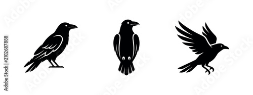 Bild auf Leinwand Set of raven and crow bird icons, intelligent and mystical symbols often associated with wisdom