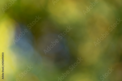 Photography out-of-focus background with shades from green to yellow and a hint of blue