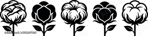 Fotografía Minimalist black and white cotton flower vector icon set featuring organic boll