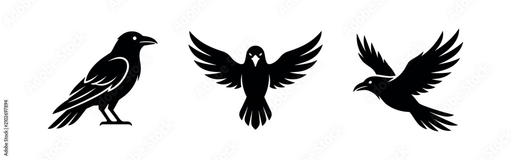 Obraz premium Majestic Raven and Crow Bird Silhouettes Set