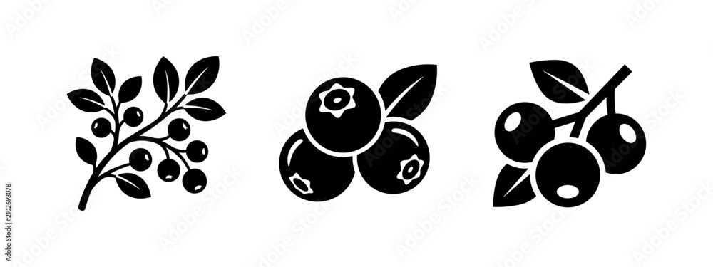 Fototapeta premium Set of blueberry fruit icons, fresh berries on a branch and individual, black and white vector illustration.