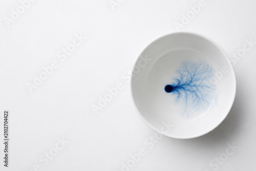 Blue branching ink pattern inside a bowl. Space for text.