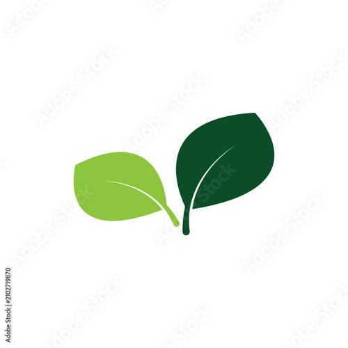 Eco Tree Leaf Logo Template