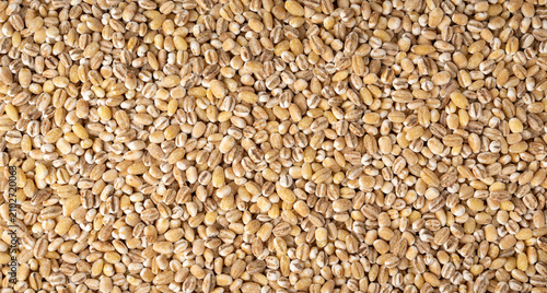 Canvastavla Pearl barley grains textured background