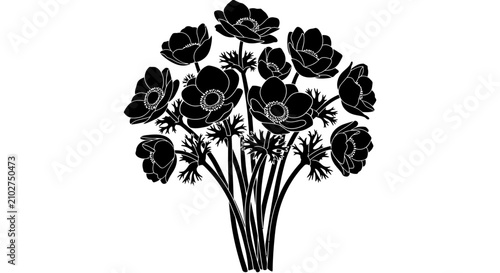 Foto Bouquet of black anemone flowers with white outline with outlines plain backgrou