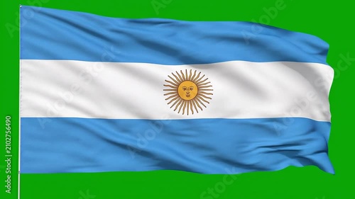 Argentina Flag Waving on Green Screen Background Seamless Loop 4K Chroma Key Animation