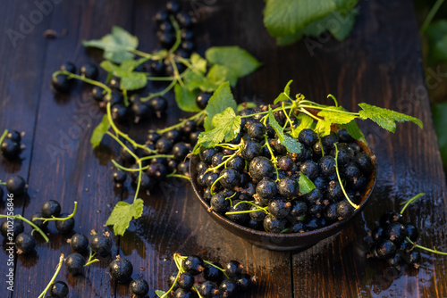 Freshly picked blackcurrant berries filling bowl on rustic table