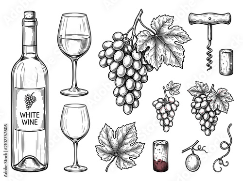 Ink sketch of wine bottle, glass, grape cluster, corkscrew, and cork isolated on white background, vintage botanical illustration for wine label