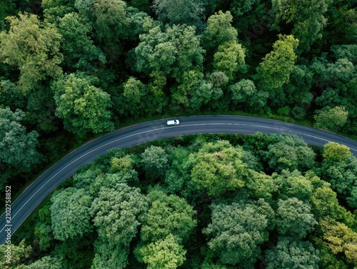 Aerial View of a Car Driving on a Winding Road Through a Lush Green Forest.