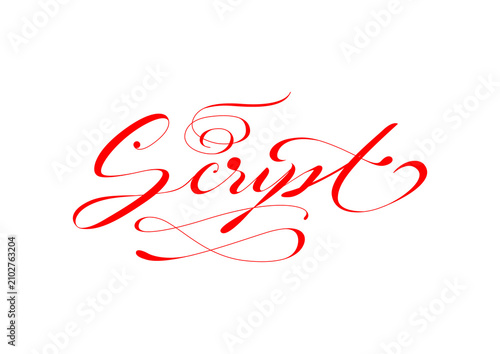 Script - handmade and vectorized lettering.