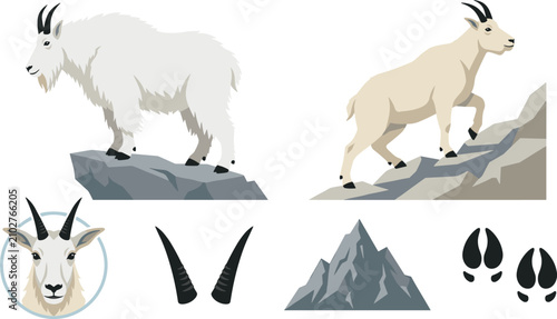 Fotografi Mountain Goat Wildlife Collection with Alpine Ibex, Cliff Climbing Animal, Portr
