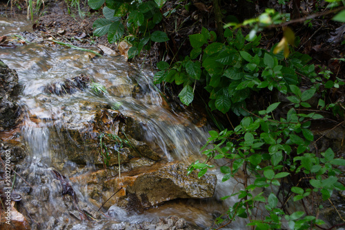 Wet weather creek, mountain stream with foliage