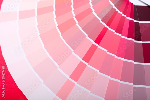 color palette guide