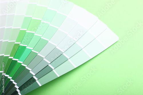 color palette guide