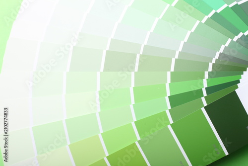 color palette guide